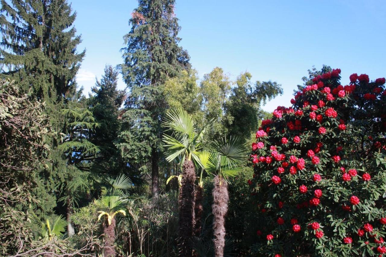 OggebioLa Camelia D'Oroアパートメント エクステリア 写真