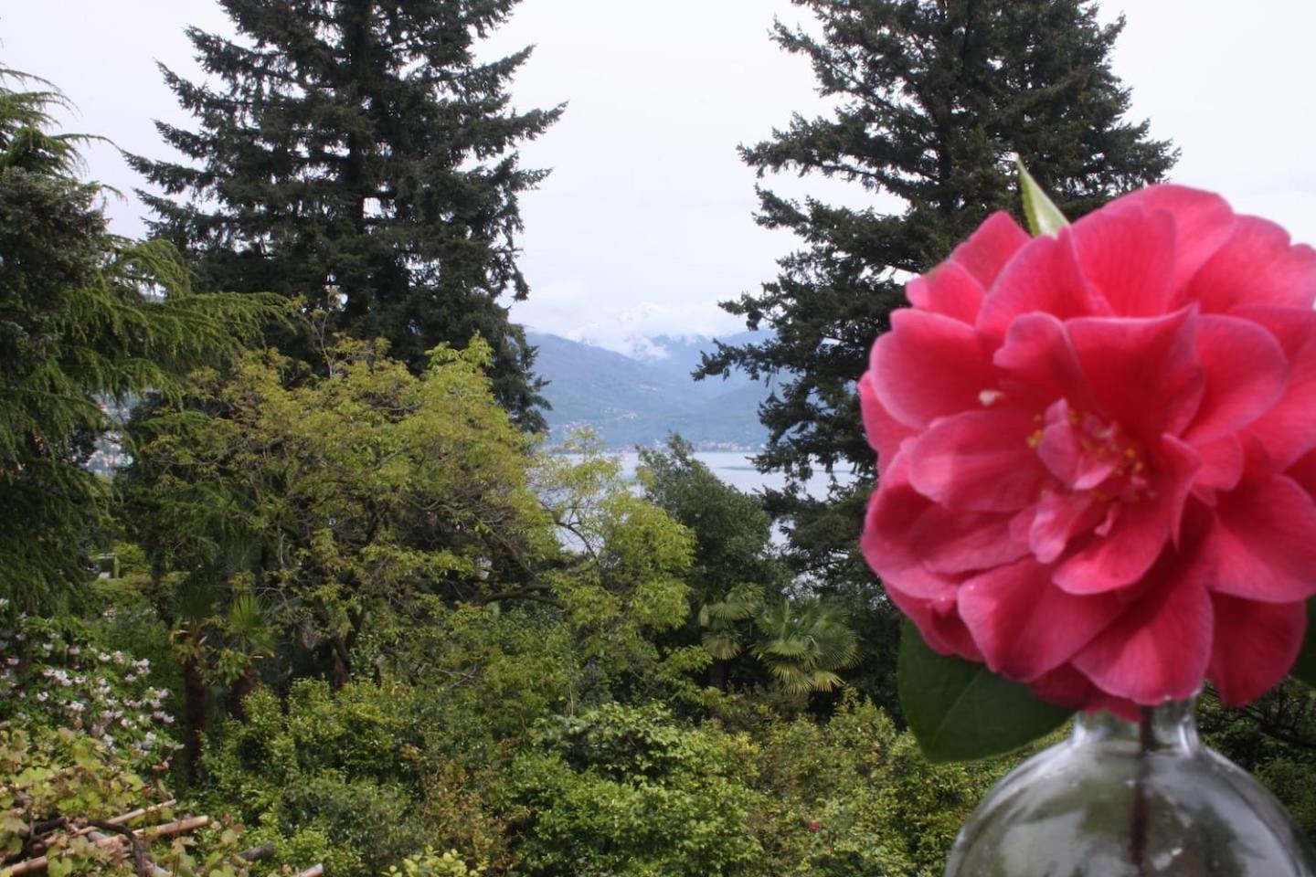 OggebioLa Camelia D'Oroアパートメント エクステリア 写真